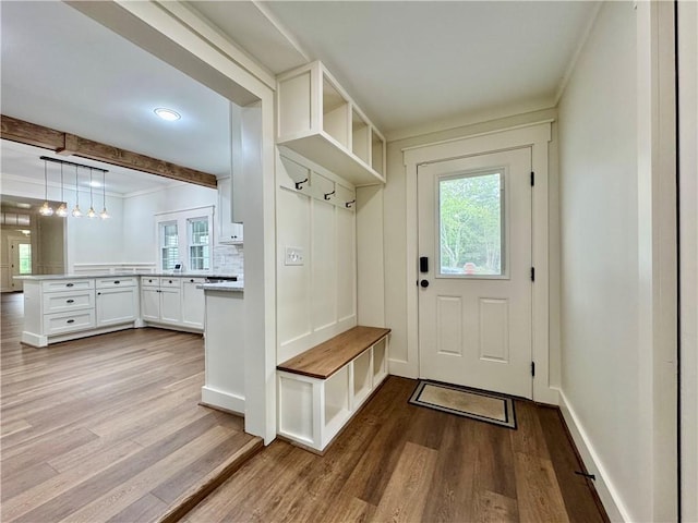 800 Holiday Dam Rd, Honea Path, SC 29654 - mudroom featuring plenty of natural light, wood finished floors, baseboards, ornamental molding, and beamed ceiling
