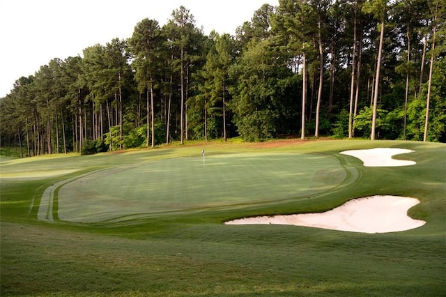 40 Pine Garden Way Dr, Salem, SC 29676 - surrounding community with golf course view