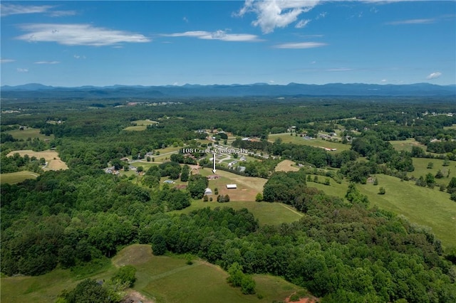 108 Cranes Crossing Dr, West Union, SC 29696 - photo 47