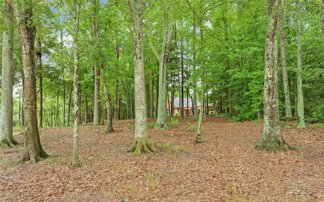 138 Grandview Ct, Hartwell, GA 30643 - view of undeveloped land