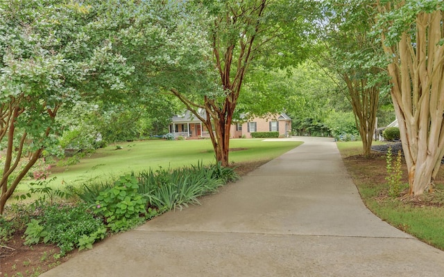138 Grandview Ct, Hartwell, GA 30643 - view of community featuring a lawn