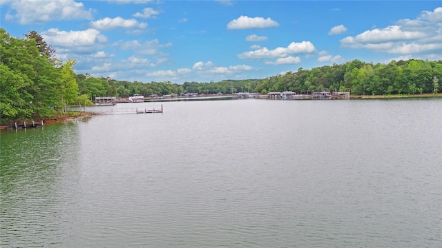 138 Grandview Ct, Hartwell, GA 30643 - water view with a forest and a dock