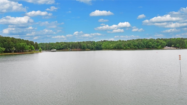 138 Grandview Ct, Hartwell, GA 30643 - water view with a heavily wooded area