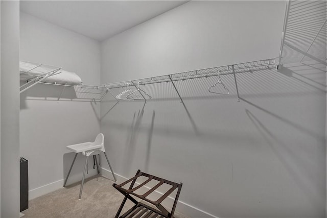 222 Grange Vally Ln, Central, SC 29630 - spacious closet with light carpet