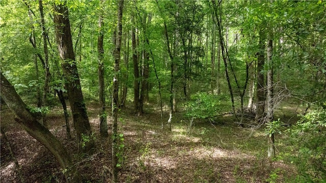 0 Old Mill Rd, Easley, SC 29642
