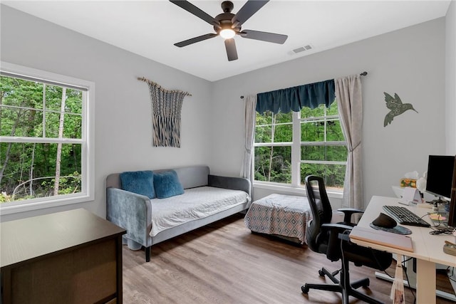 324 Sweetbriar Trl, Westminster, SC 29693 - office with healthy amount of natural light, ceiling fan, and light wood finished floors