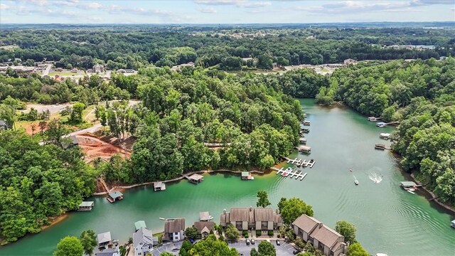 704 Loran Pointe Cir, Seneca, SC 29672 - drone / aerial view of a large body of water and a heavily wooded area