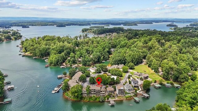 704 Loran Pointe Cir, Seneca, SC 29672 - bird's eye view of a nearby body of water