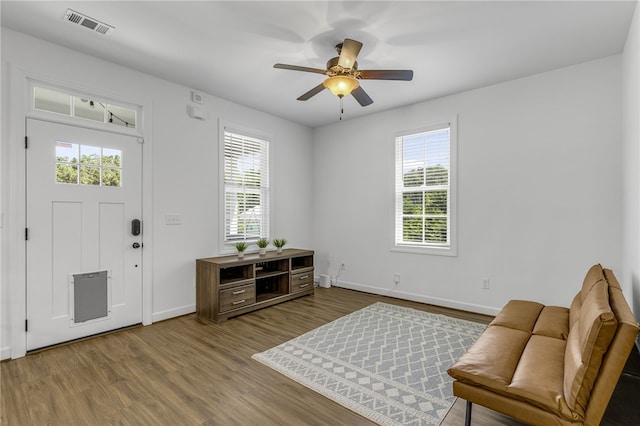 3401 Old Buncombe Rd, Greenville, SC 29617 - entrance foyer featuring wood finished floors, plenty of natural light, a ceiling fan, and baseboards