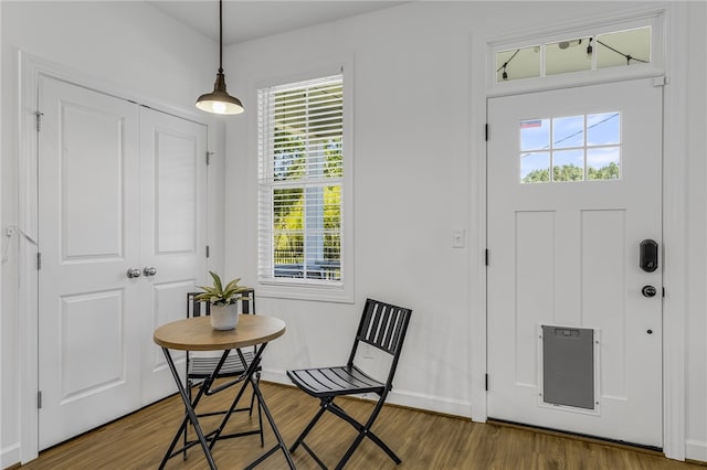 3401 Old Buncombe Rd, Greenville, SC 29617 - foyer with wood finished floors and healthy amount of natural light