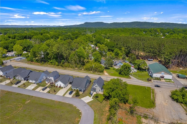 3401 Old Buncombe Rd, Greenville, SC 29617 - aerial perspective of suburban area with a heavily wooded area