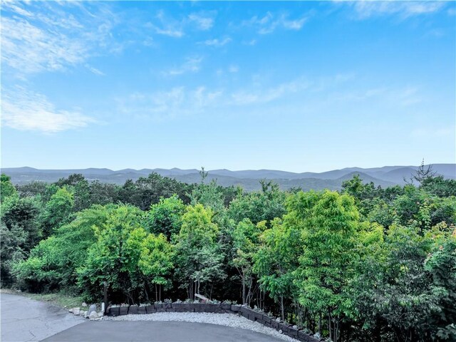 156 Overlook Dr, Pickens, SC 29671 - photo 38