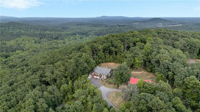 156 Overlook Dr, Pickens, SC 29671 - photo 39