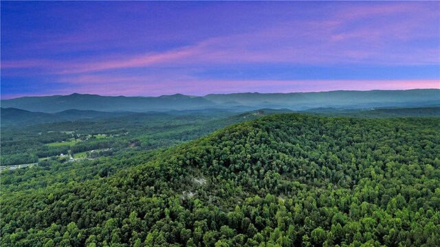 156 Overlook Dr, Pickens, SC 29671 - photo 43