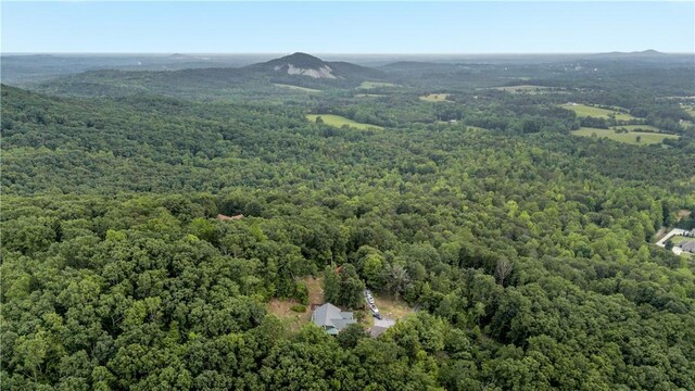 156 Overlook Dr, Pickens, SC 29671 - photo 44