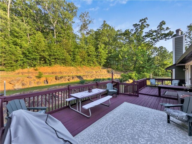 156 Overlook Dr, Pickens, SC 29671 - photo 32