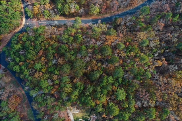 LOT97 Armory Ct, Ninety Six, SC 29666 - photo 3
