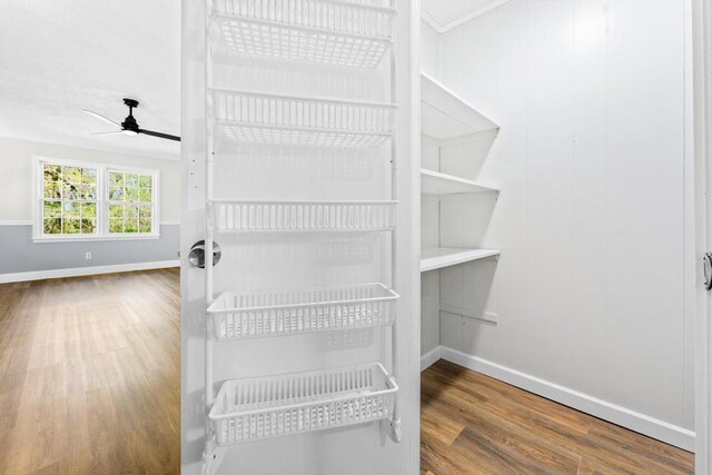 113 Woodhurst Dr, Hartwell, GA 30643 - view of pantry