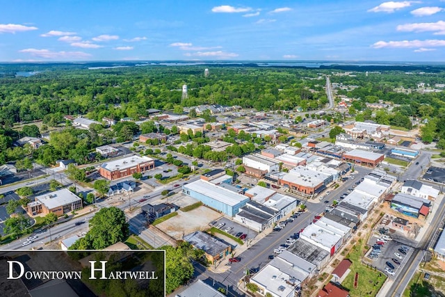 113 Woodhurst Dr, Hartwell, GA 30643 - aerial view of property and surrounding area