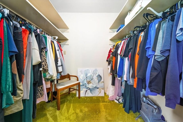 106 Emma Dr, Honea Path, SC 29654 - walk in closet featuring carpet