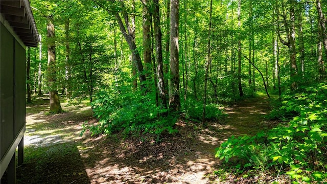 1457 Cheohee Valley Rd, Tamassee, SC 29686 - view of woods