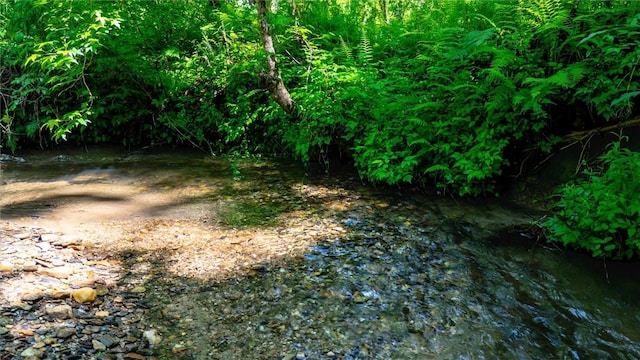 1457 Cheohee Valley Rd, Tamassee, SC 29686 - view of yard