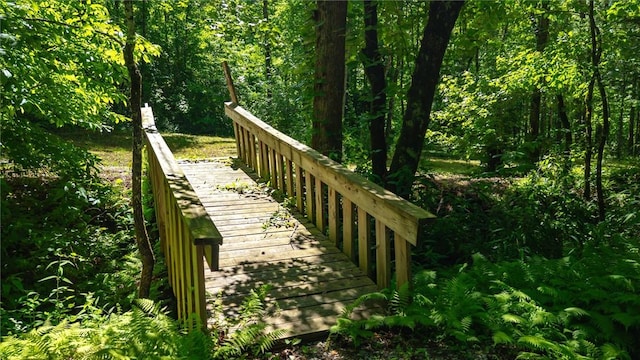 1457 Cheohee Valley Rd, Tamassee, SC 29686 - view of property's community with a view of trees