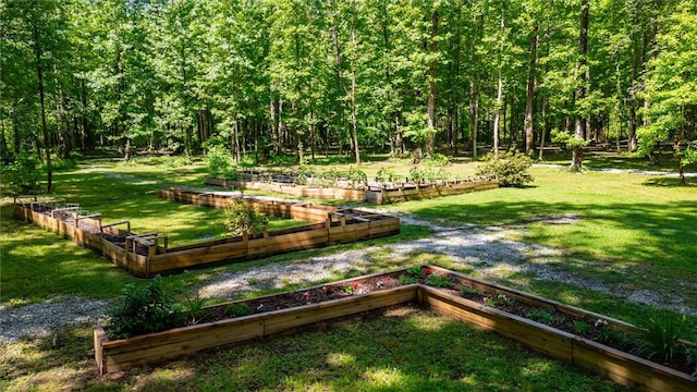 1457 Cheohee Valley Rd, Tamassee, SC 29686 - view of grassy yard featuring a vegetable garden and a wooded view