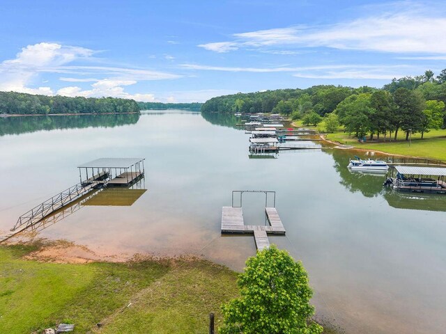 113 Alder Ln, Fair Play, SC 29643 - photo 34
