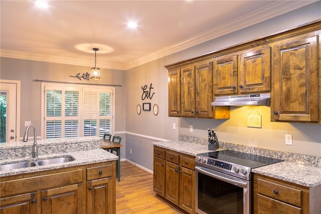 205 Shadow Oaks Dr, Easley, SC 29642 - kitchen with stainless steel electric range oven, under cabinet range hood, a sink, light wood-style flooring, and light stone counters