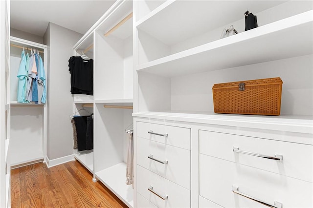 318 Chenoweth Dr, Simpsonville, SC 29681 - spacious closet featuring light wood-style floors