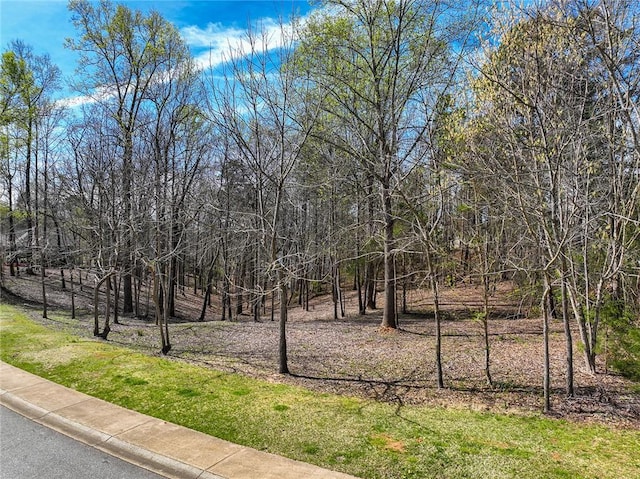 217 Winding Oaks Dr, Seneca, SC 29672 - photo 2