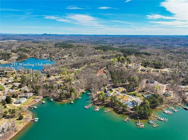 217 Winding Oaks Dr, Seneca, SC 29672 - photo 5