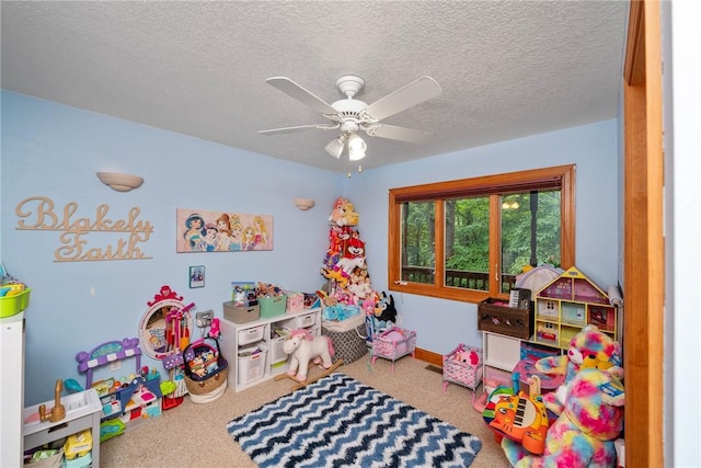 233 Chestnut Dr, Westminster, SC 29693 - photo 12