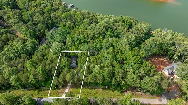 233 Chestnut Dr, Westminster, SC 29693 - photo 40