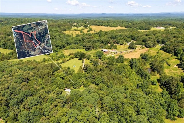 379 Wilbanks Farm Rd, Westminster, SC 29693 - aerial view of property's location with a forest and property parcel outlined
