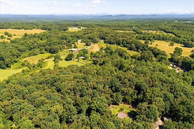 379 Wilbanks Farm Rd, Westminster, SC 29693 - bird's eye view of a forest