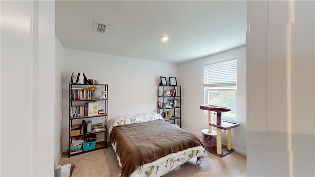 112 Queens Mill Ct, Pendleton, SC 29670 - bedroom with light colored carpet and baseboards