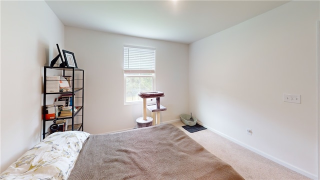 112 Queens Mill Ct, Pendleton, SC 29670 - bedroom featuring carpet flooring and baseboards