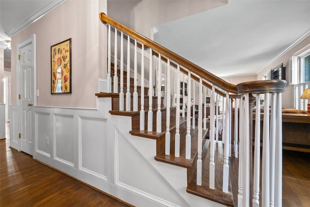 109 Cameron Way, Anderson, SC 29621 - stairway with ornamental molding, a decorative wall, wood finished floors, and a wainscoted wall