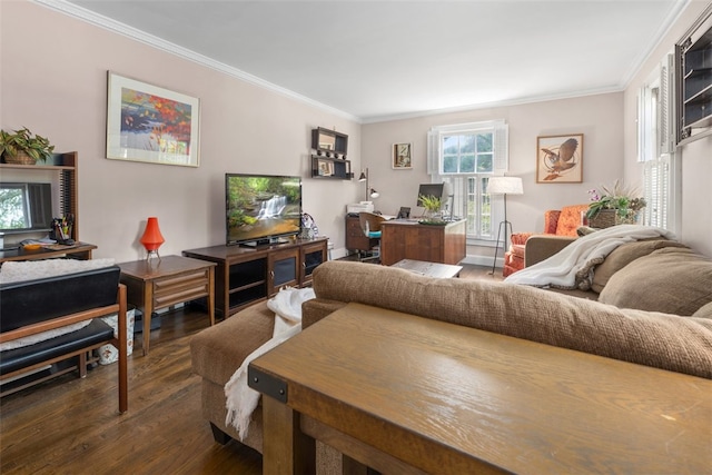 109 Cameron Way, Anderson, SC 29621 - living area with ornamental molding, dark wood-type flooring, and an office area