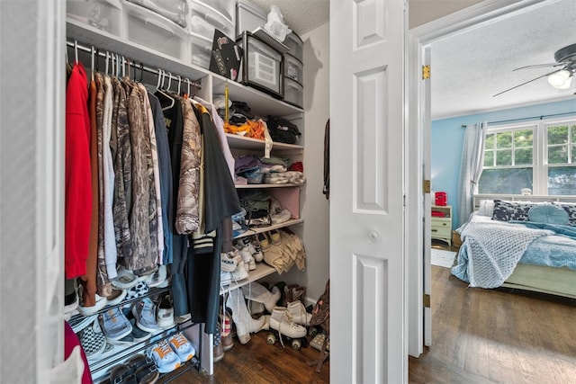 109 Cameron Way, Anderson, SC 29621 - view of closet