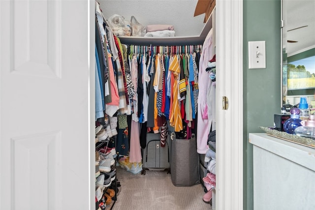 109 Cameron Way, Anderson, SC 29621 - spacious closet with carpet