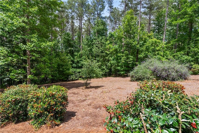 803 Gate View Ct, Seneca, SC 29672 - view of yard featuring a forest view