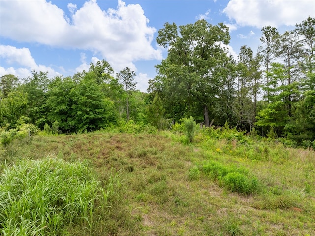 1225 Dogwood Ln, Clinton, SC 29325 - view of wooded area
