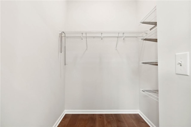 1316 E S 6th St, Seneca, SC 29678 - walk in closet with dark wood-style floors