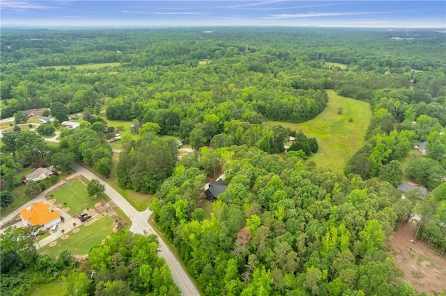 120 Thomason View Rd, Fountain Inn, SC 29644 - aerial view of a forest