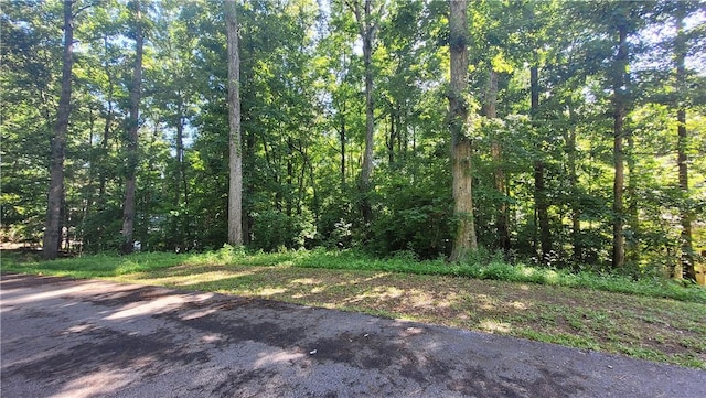 279 Tallulah Dr, Westminster, SC 29693 - photo 4