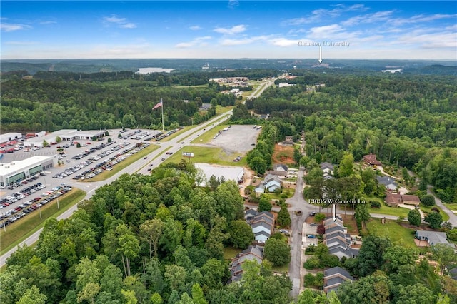 13036 W Camelia Ln, Seneca, SC 29678 - aerial view of a heavily wooded area