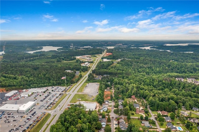 13036 W Camelia Ln, Seneca, SC 29678 - aerial view of a heavily wooded area